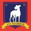 AFC Richmond - buyjerseyshop.uk