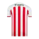 Men Sunderland AFC Home Soccer Jersey Shirt 2023/24 - buyjerseyshop.uk